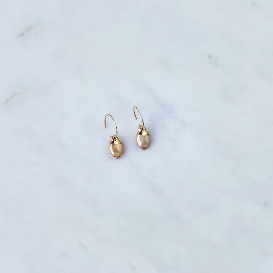 Scarab Earrings